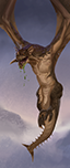 Zuřivá wyverna